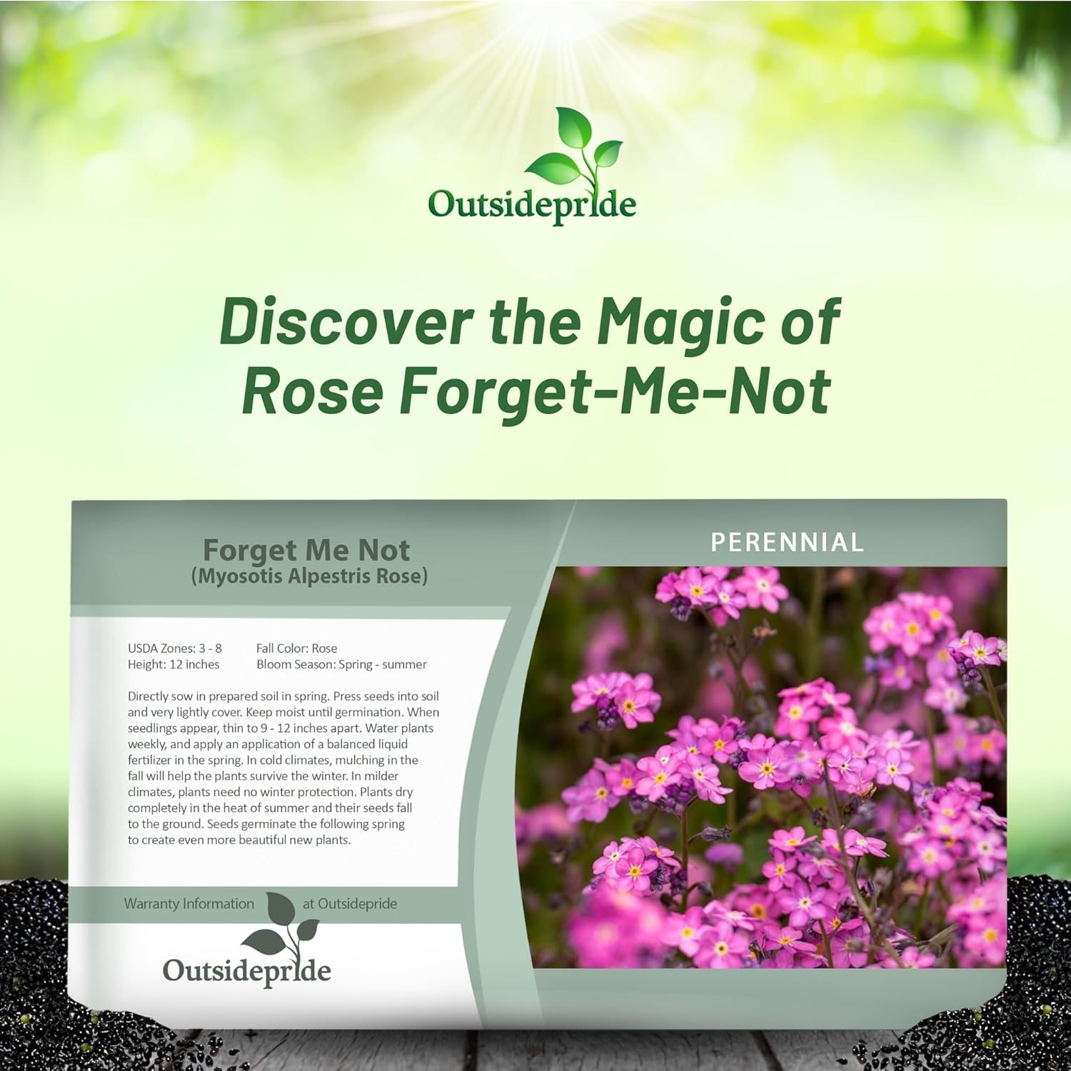 Myosotis Rose Forget Me Not Seed Packet