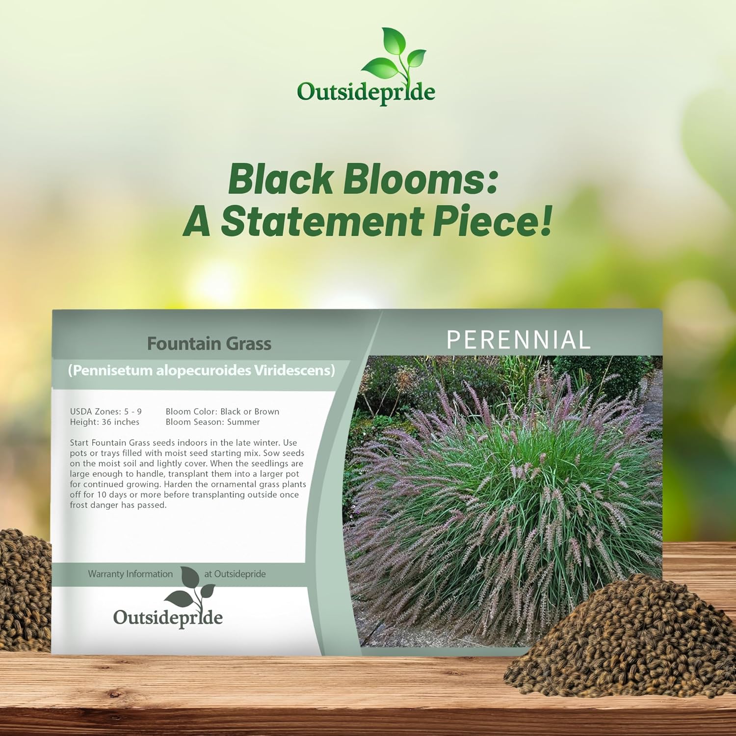 Black Flower Ornamental Grass Seed Packet