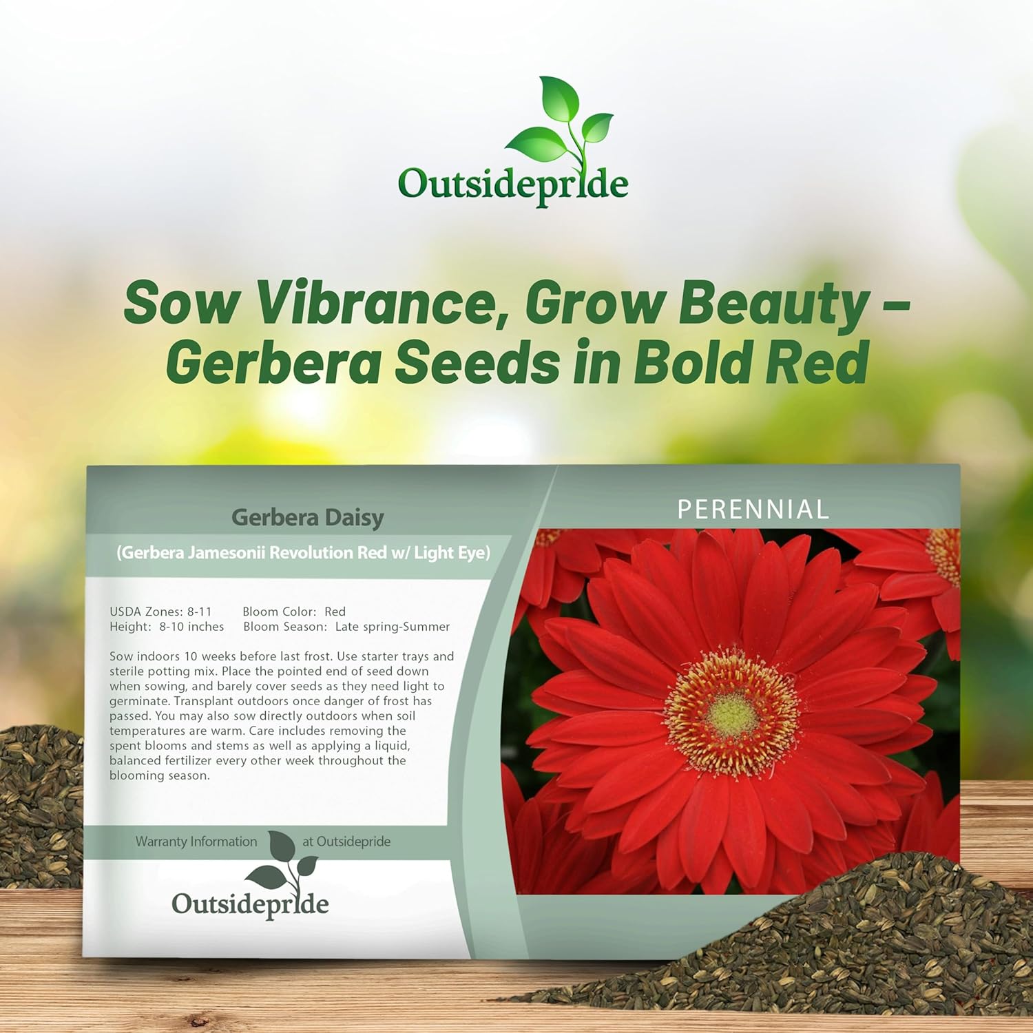 Gerbera Red Flower Seed Packet