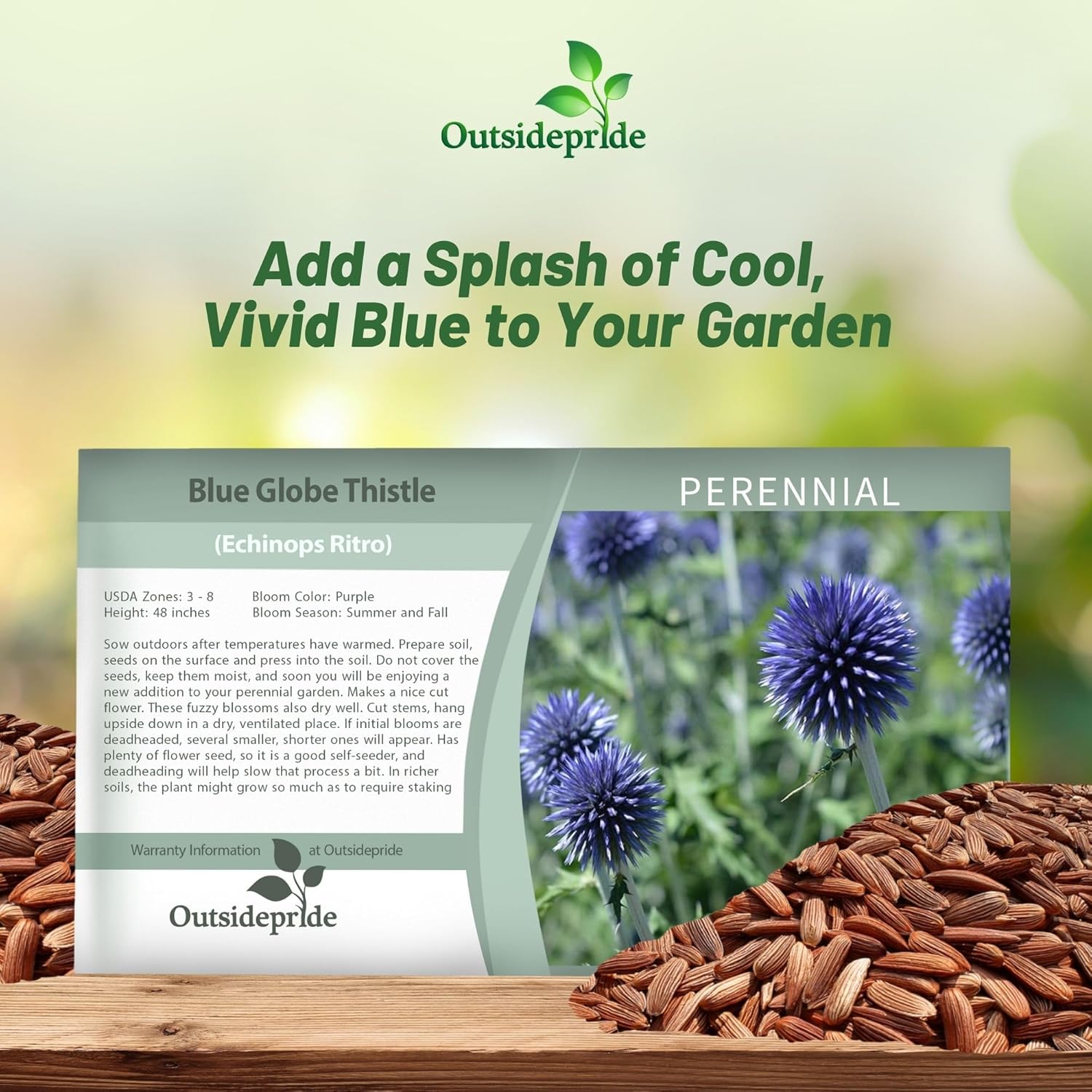 Globe Thistle Blue Flower Seed Packet