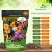 Annual Wild Flower Seed Mix