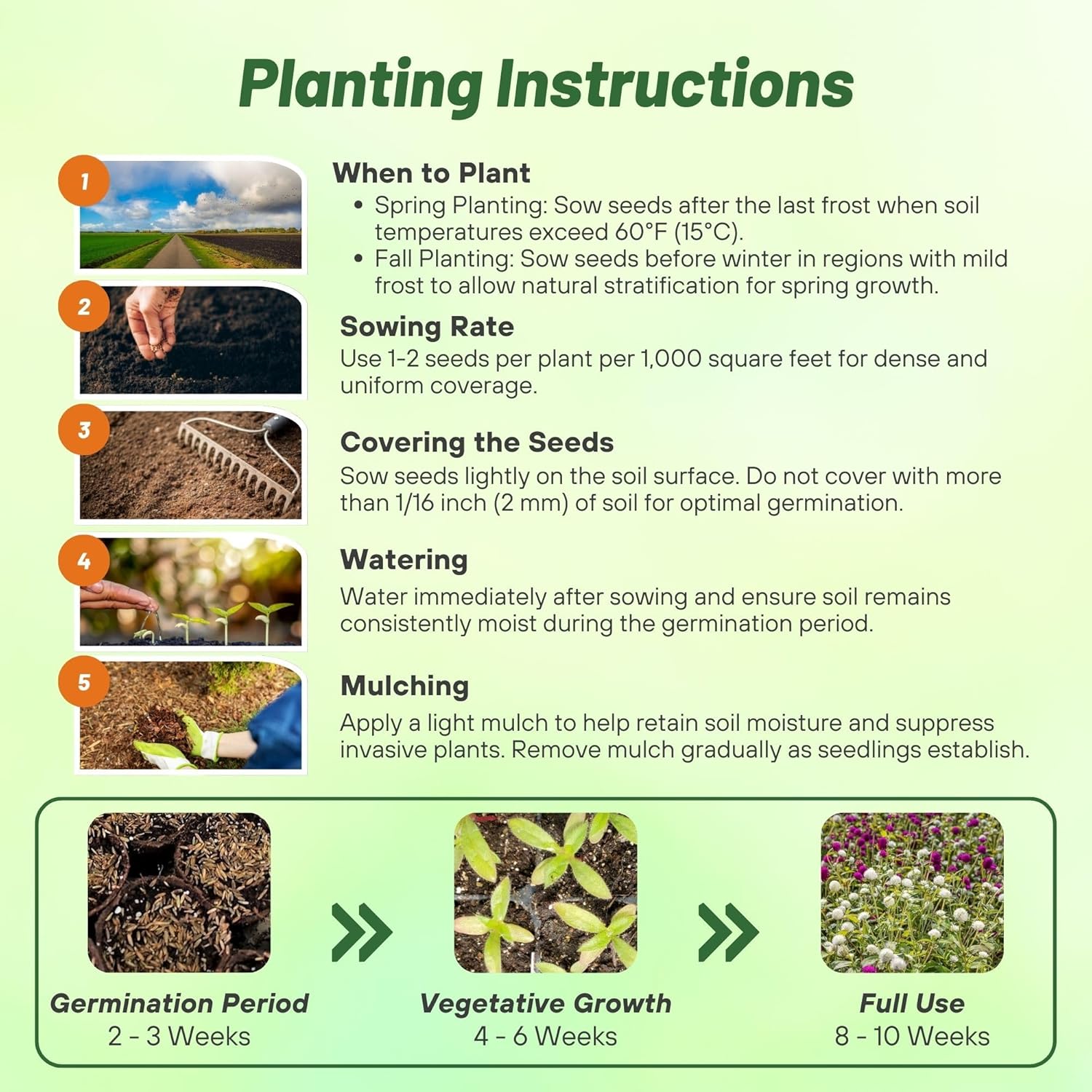 Gomphrena Globosa Mix Planting Directions