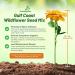 Gulf Coast Wildflower Seeds