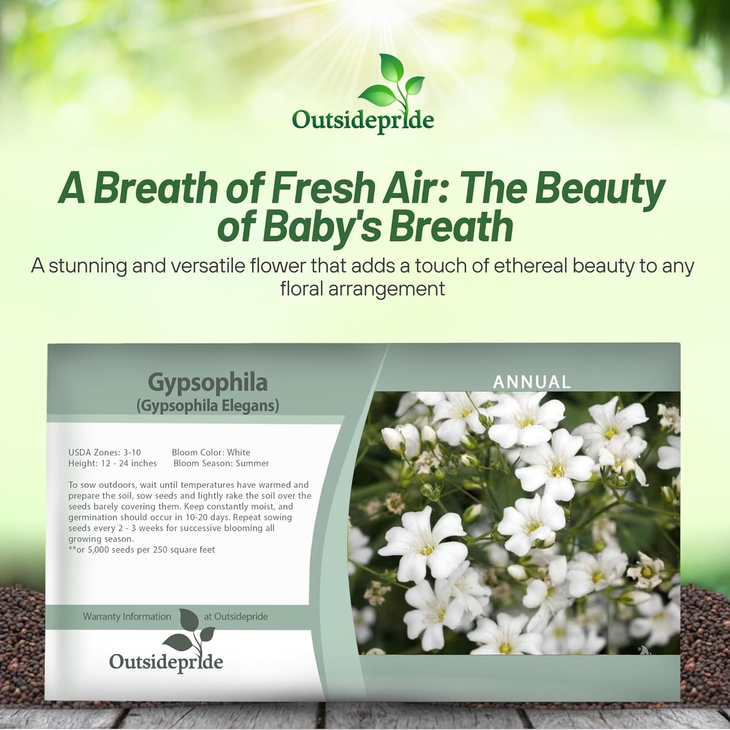 Baby's Breath Seed Packet