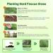 Hard Fescue Planting Directions