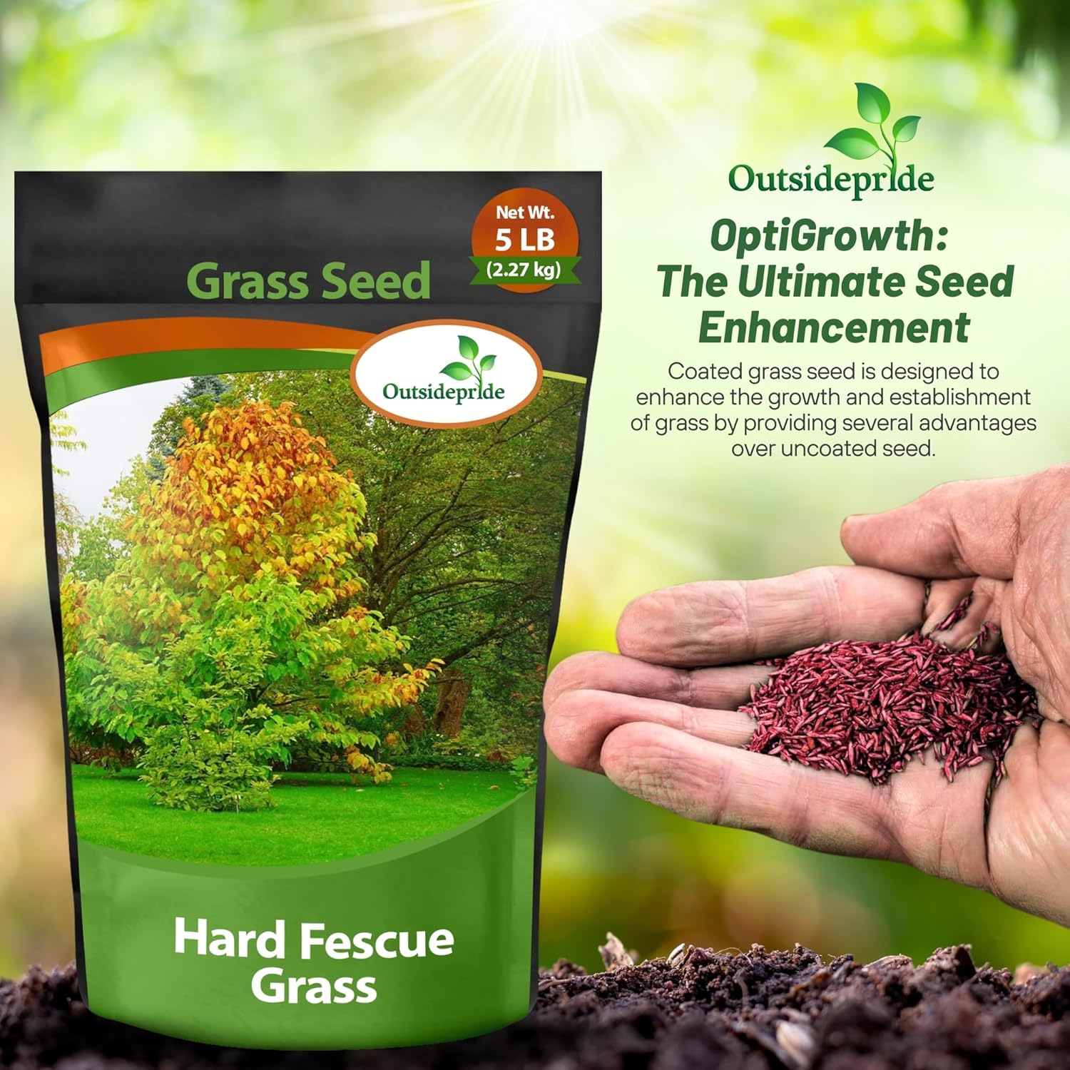 Hard Fescue Seed Bag