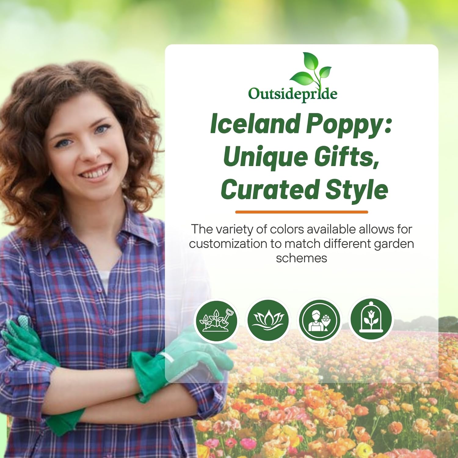 Iceland Poppy Planting Directions