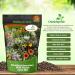 Insectary Wild Flower Seed Bag