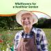 Insectary Home Gardening Wildflowers