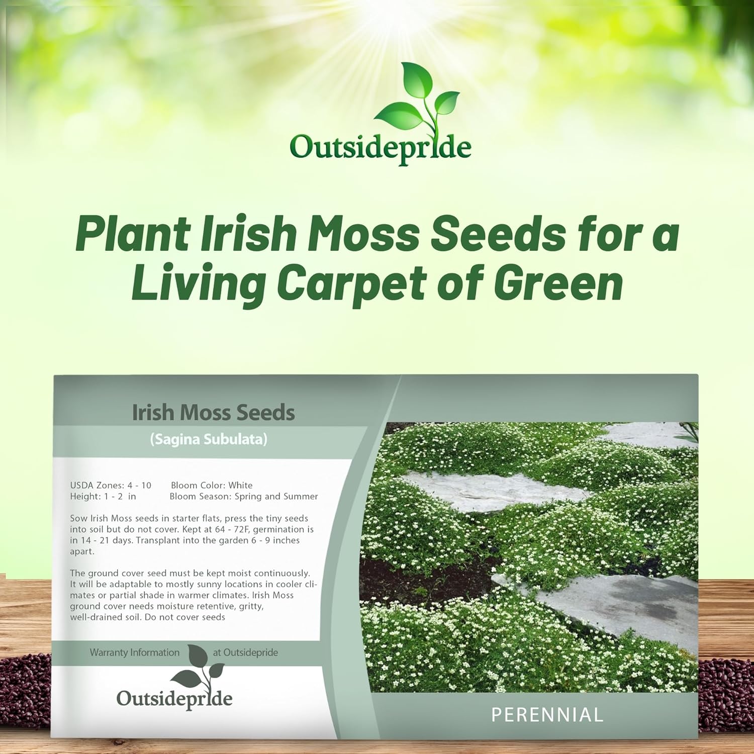 Perennial Irish Moss Seed Packet