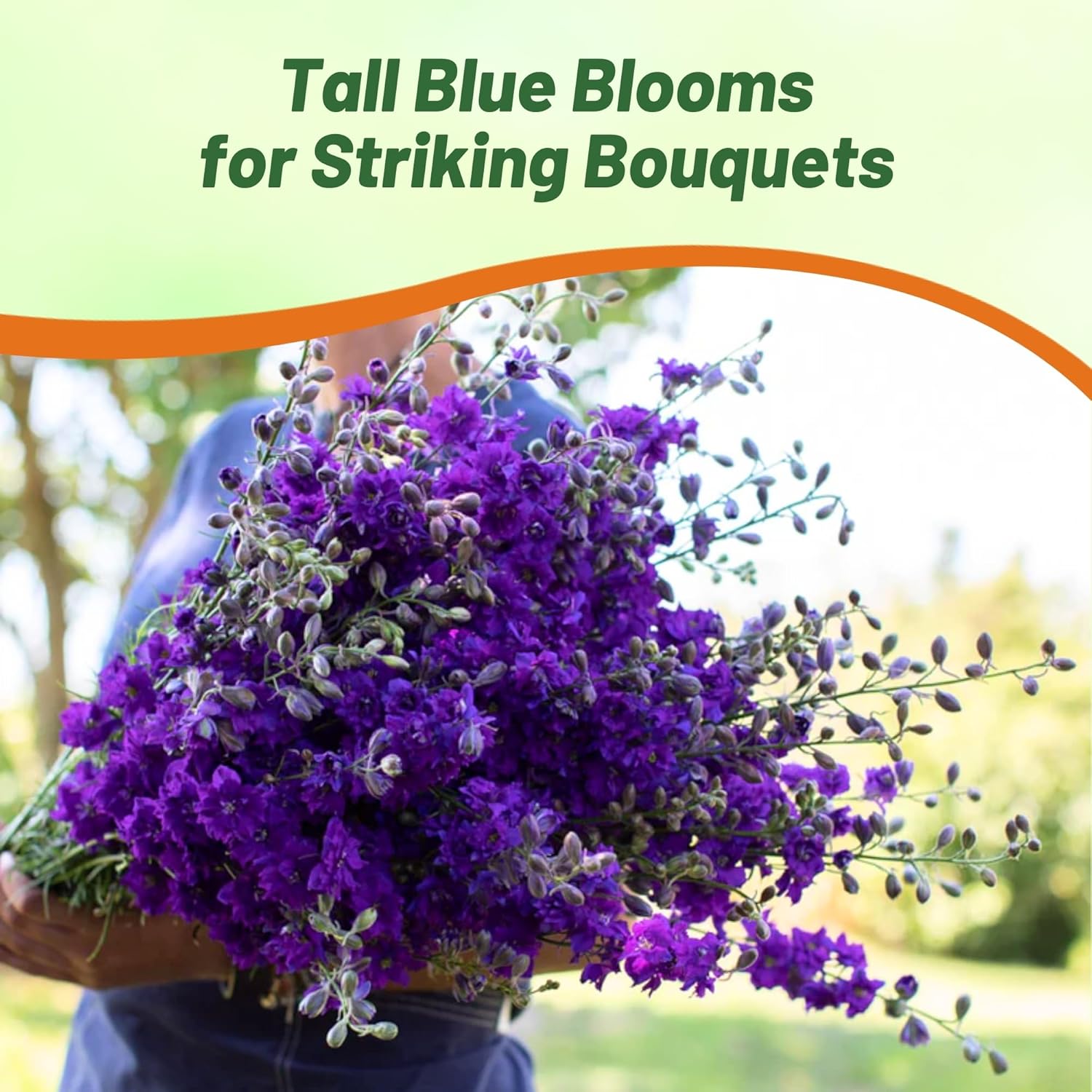 Larkspur Blue Spire Flower Seeds