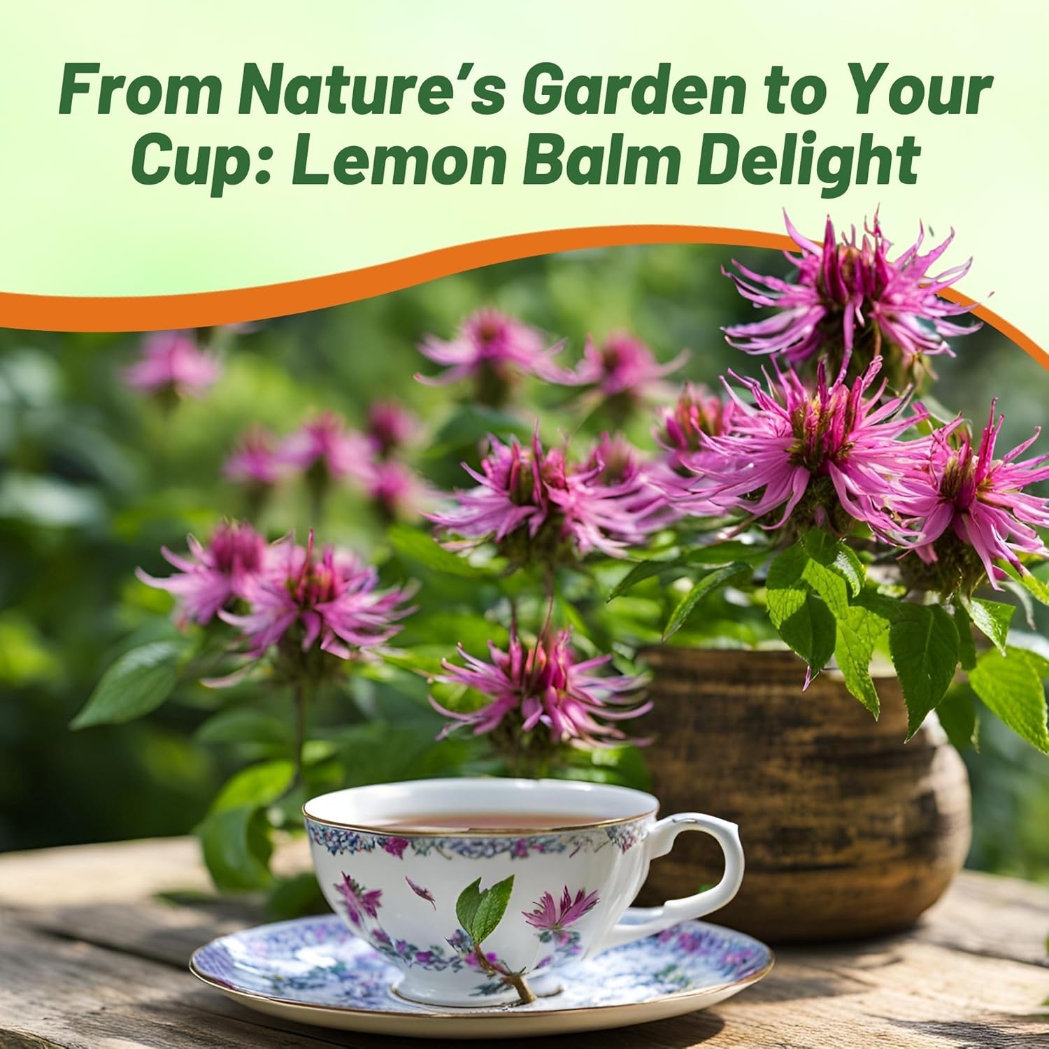 Lemon Bee Balm Seed