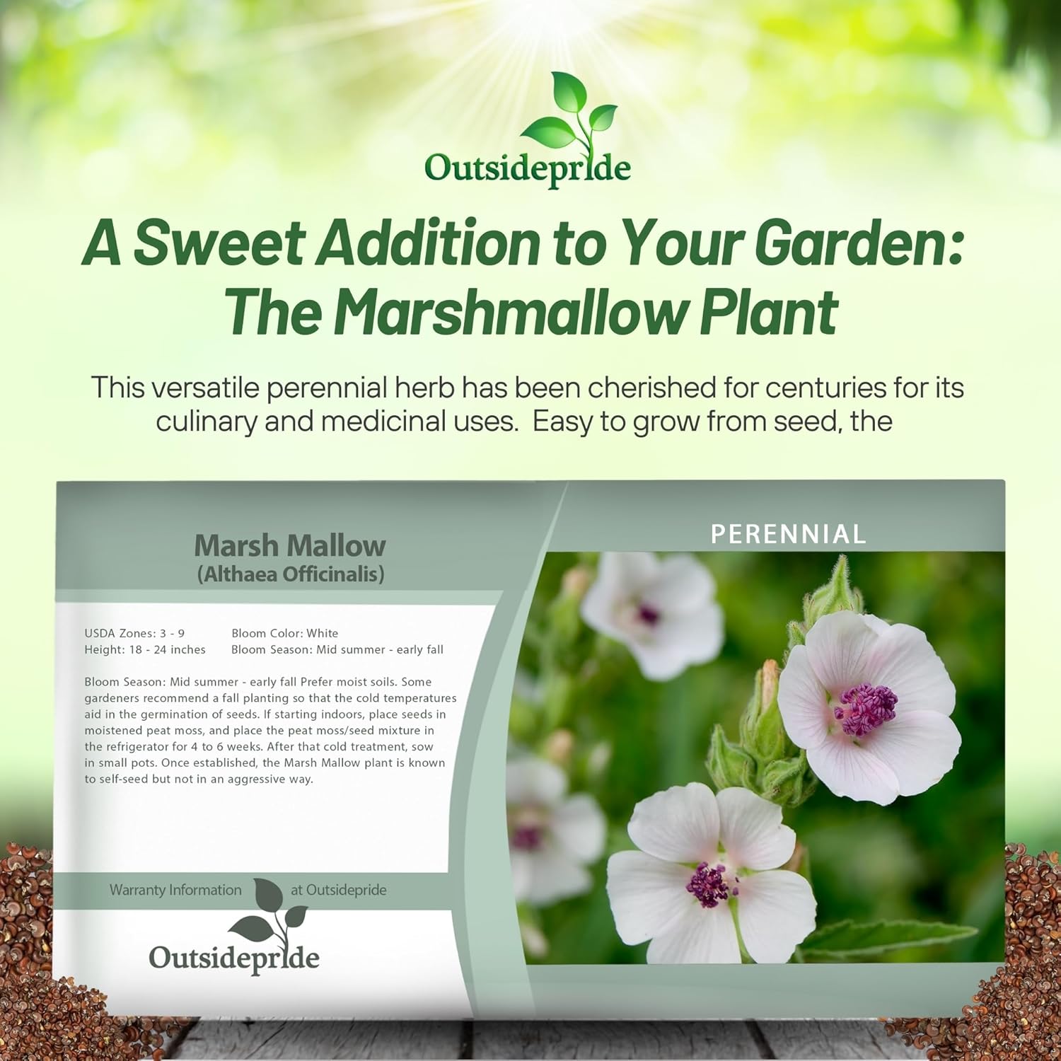 Marsh Mallow Seed Packet