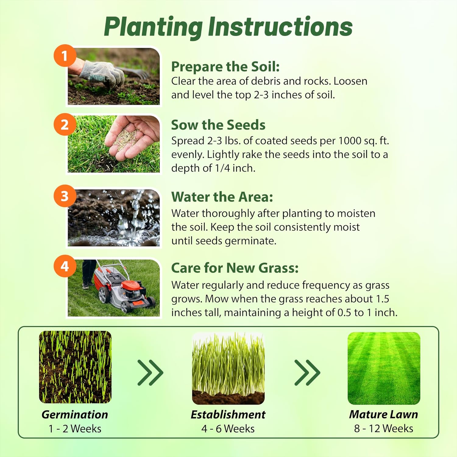 Blackjack II Planting Directions Bermuda Grass