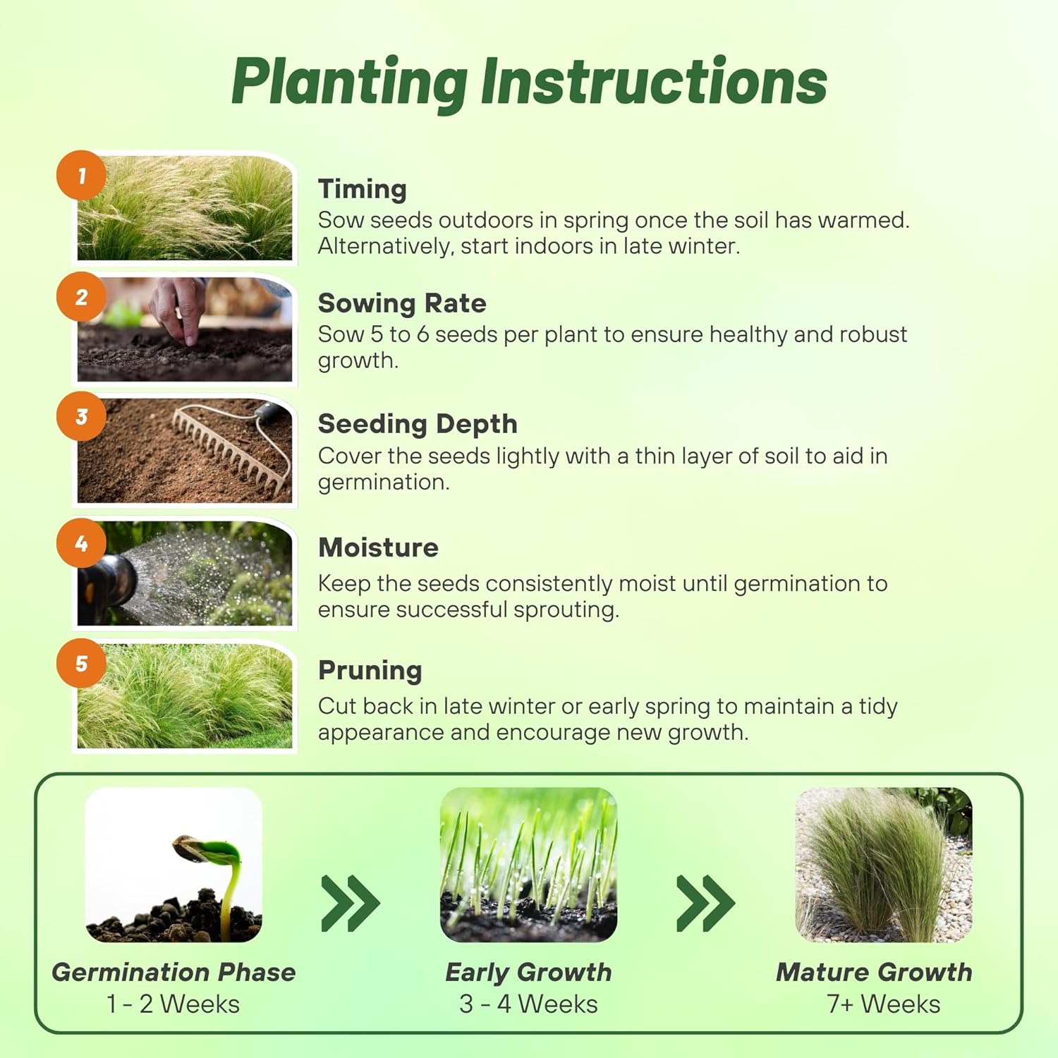 Mexican Feather Grass Planting Directions