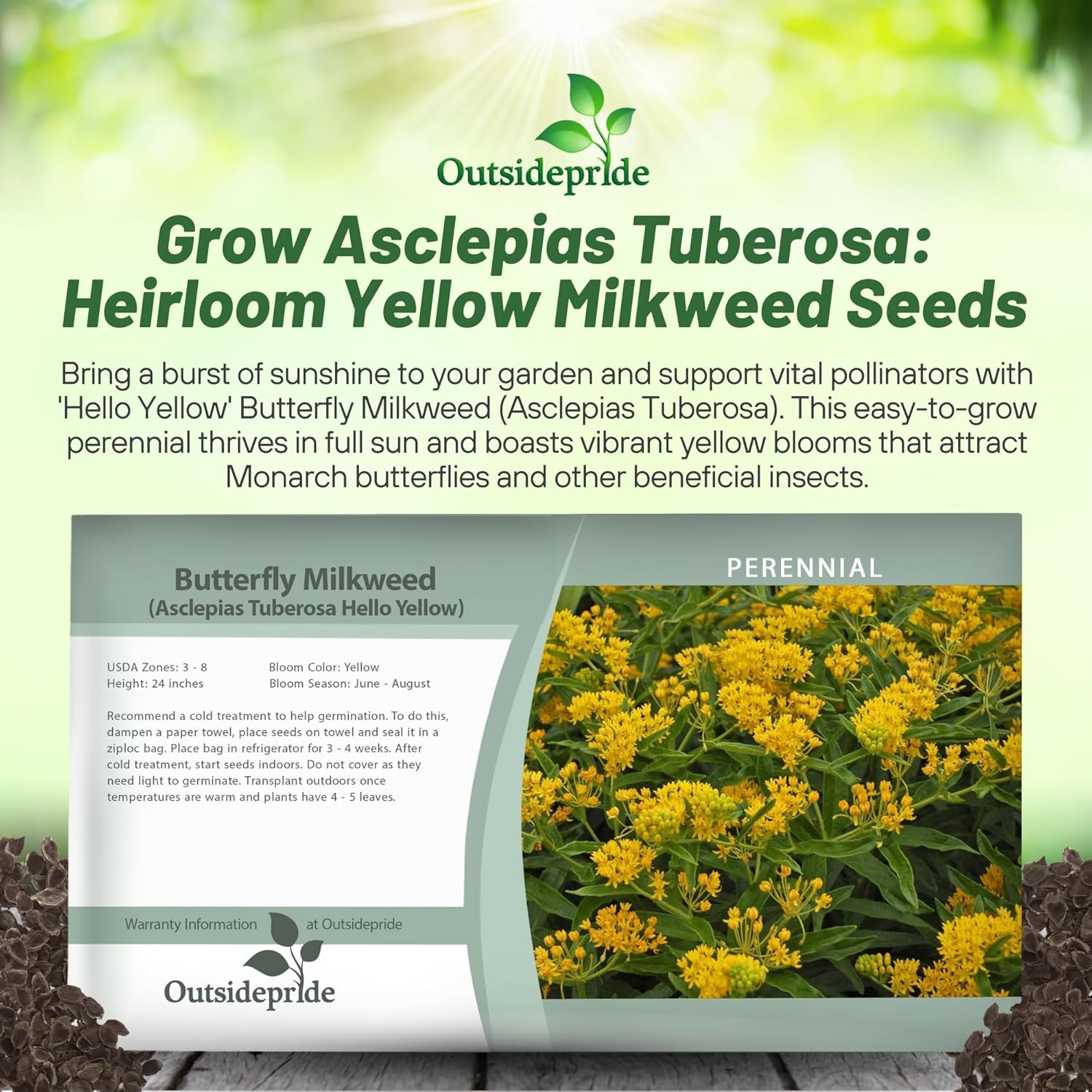 Asclepias Tuberosa Yellow Seed Packet