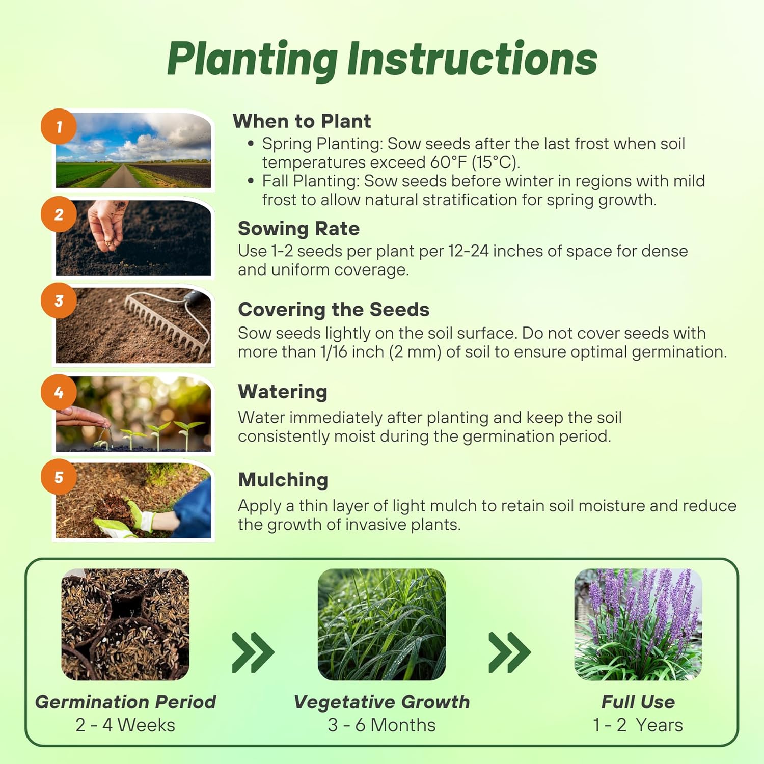 Monkey Grass Planting Directions