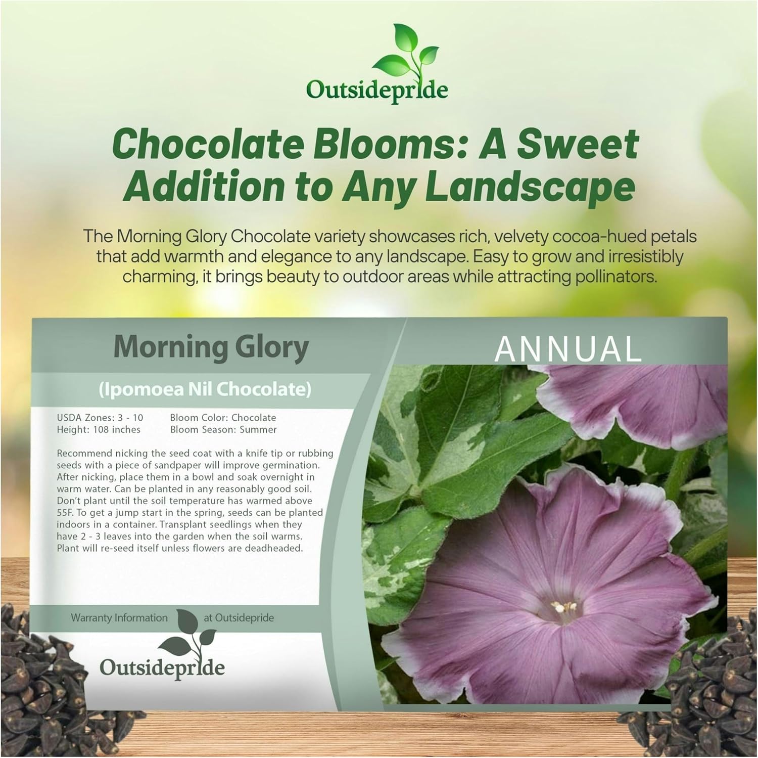 Morning Glory Chocolate Seed Packet