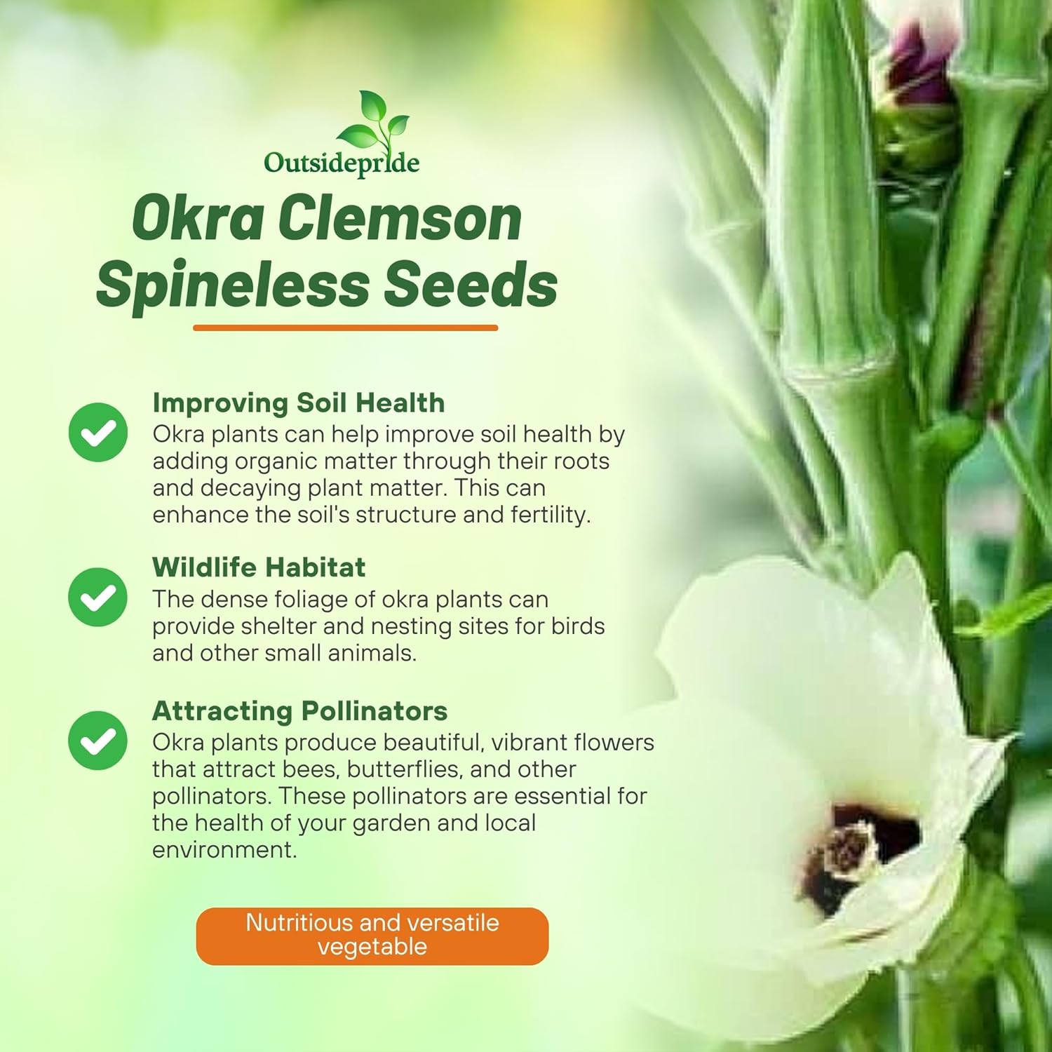 Okra Garden Plant Seeds