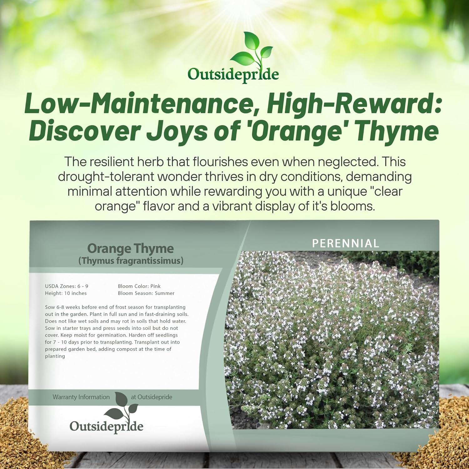 Orange Thyme Herb Seed Packet