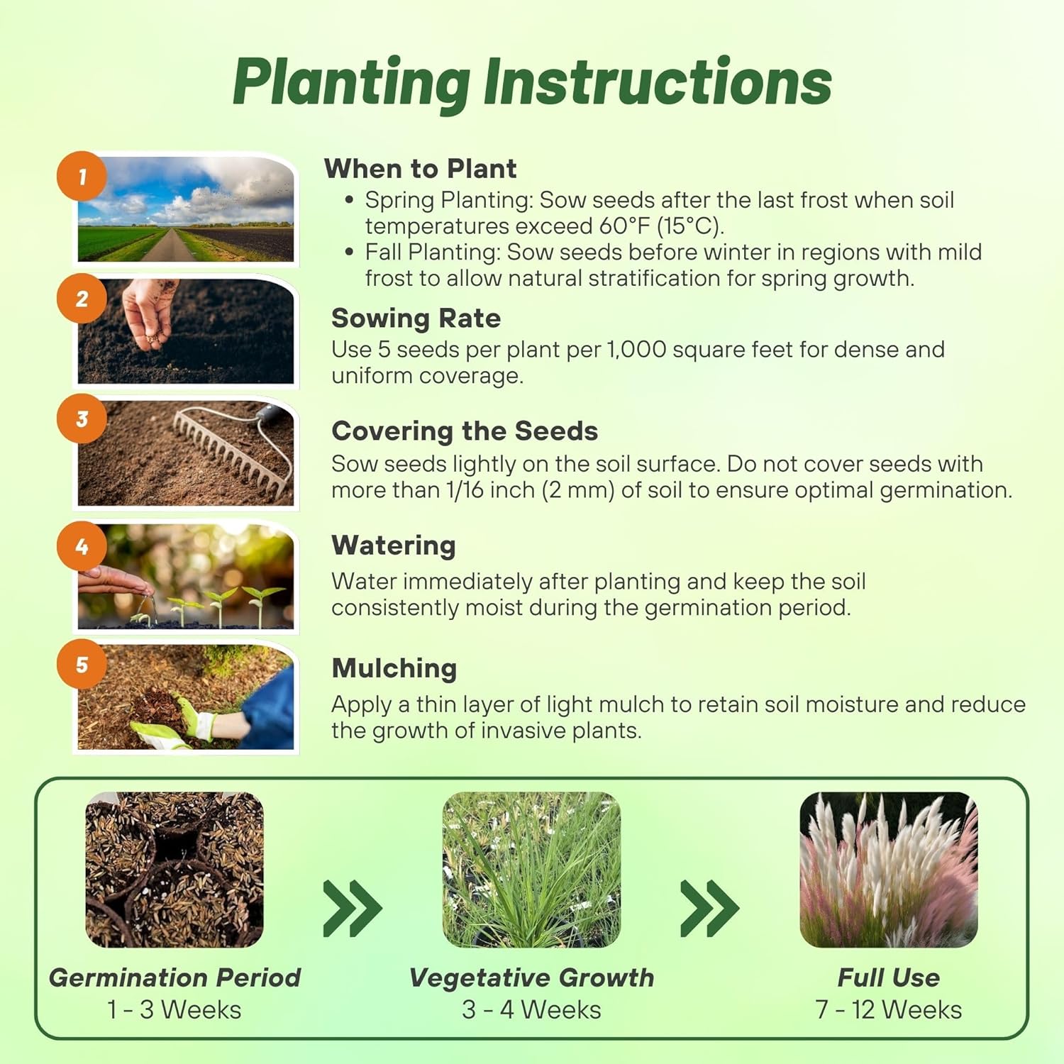 Pampas Grass Mix Planting Directions