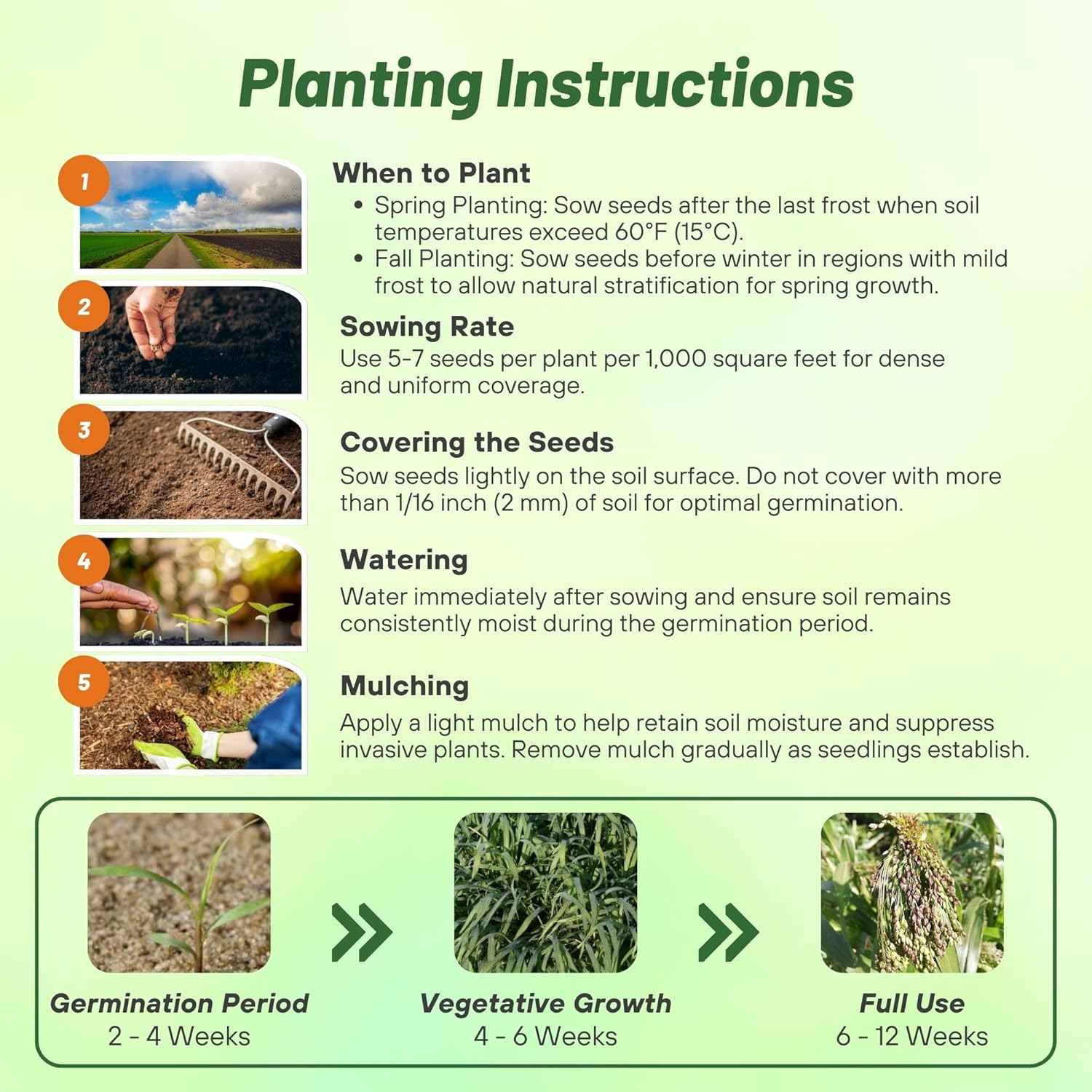 Panicum violaceum Planting Directions