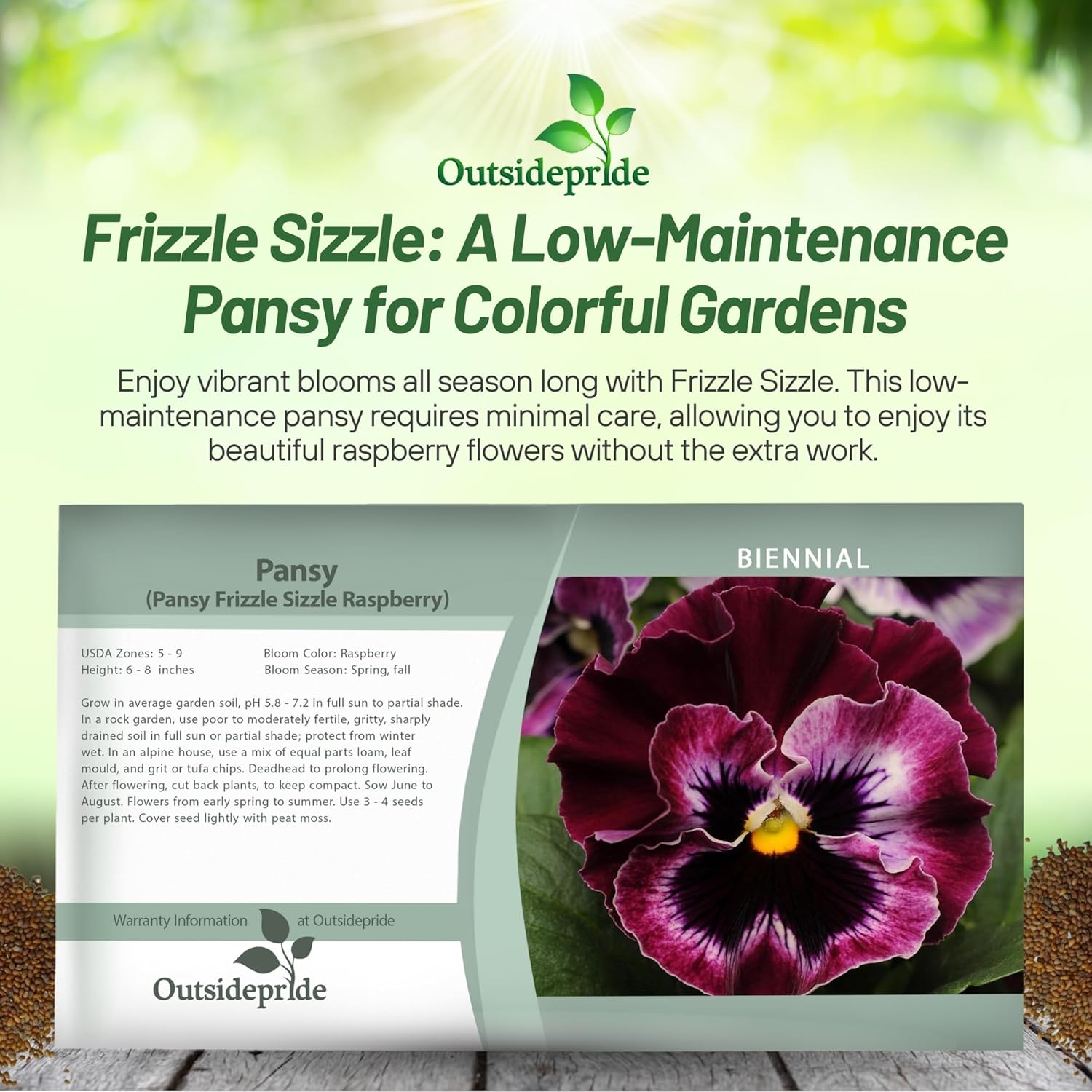 Pansy Frizzle Sizzle Rasberry Seed Packet