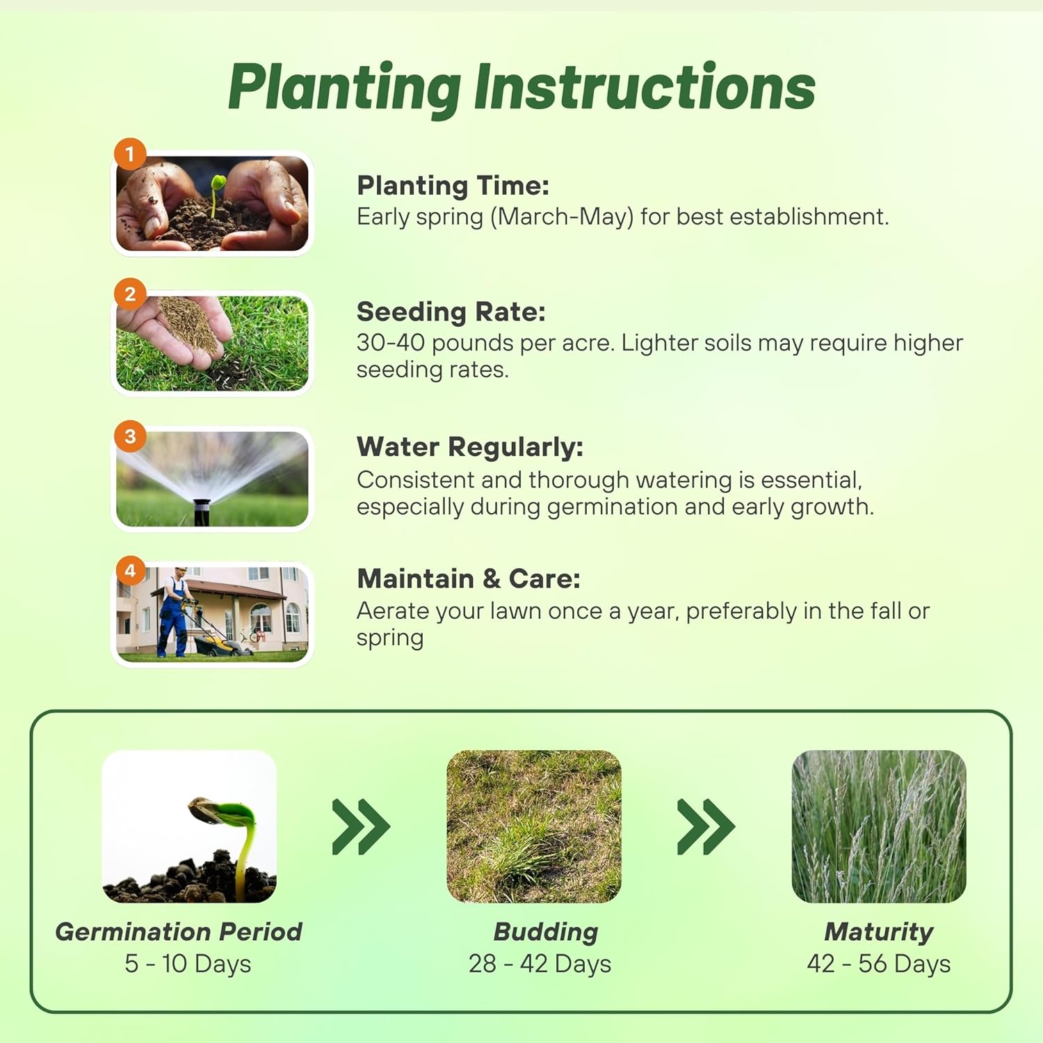 Perennial Ryegrass Pasture Directions