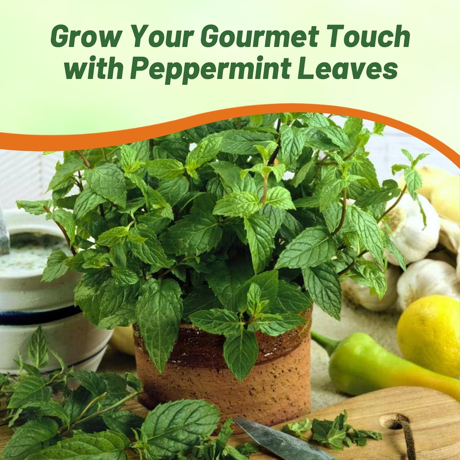 Peppermint Herb Garden Seeds