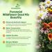 Perennial Wild Flower Seed Mix