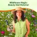 No Filler Perennial Wildflower Seeds