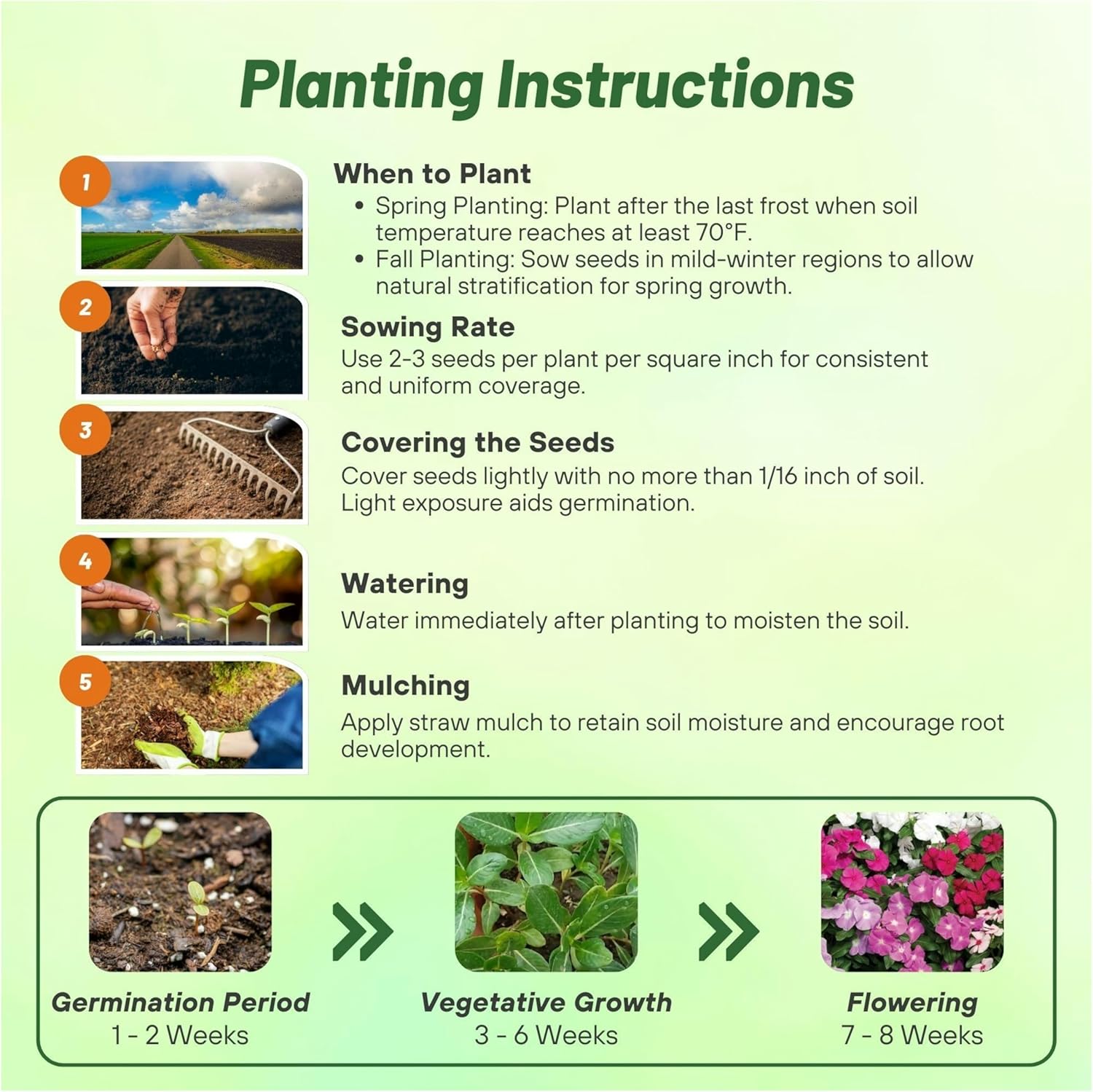 Vinca Cora Cascade Planting Directions