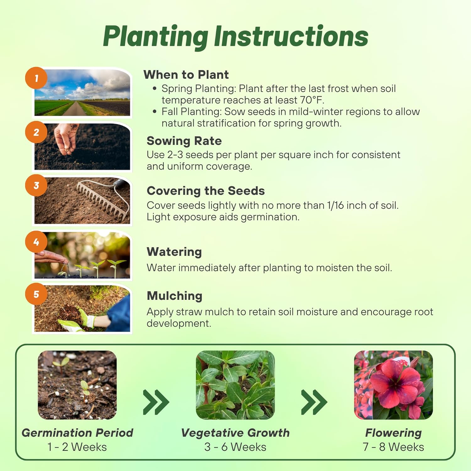 Vinca Papaya Planting Directions