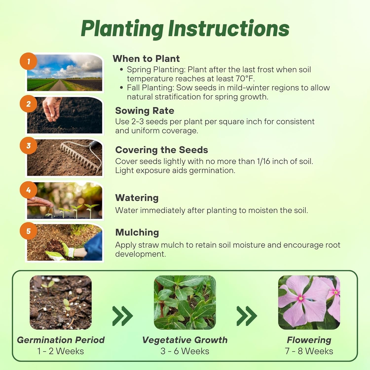 Vinca Pink Planting Directions