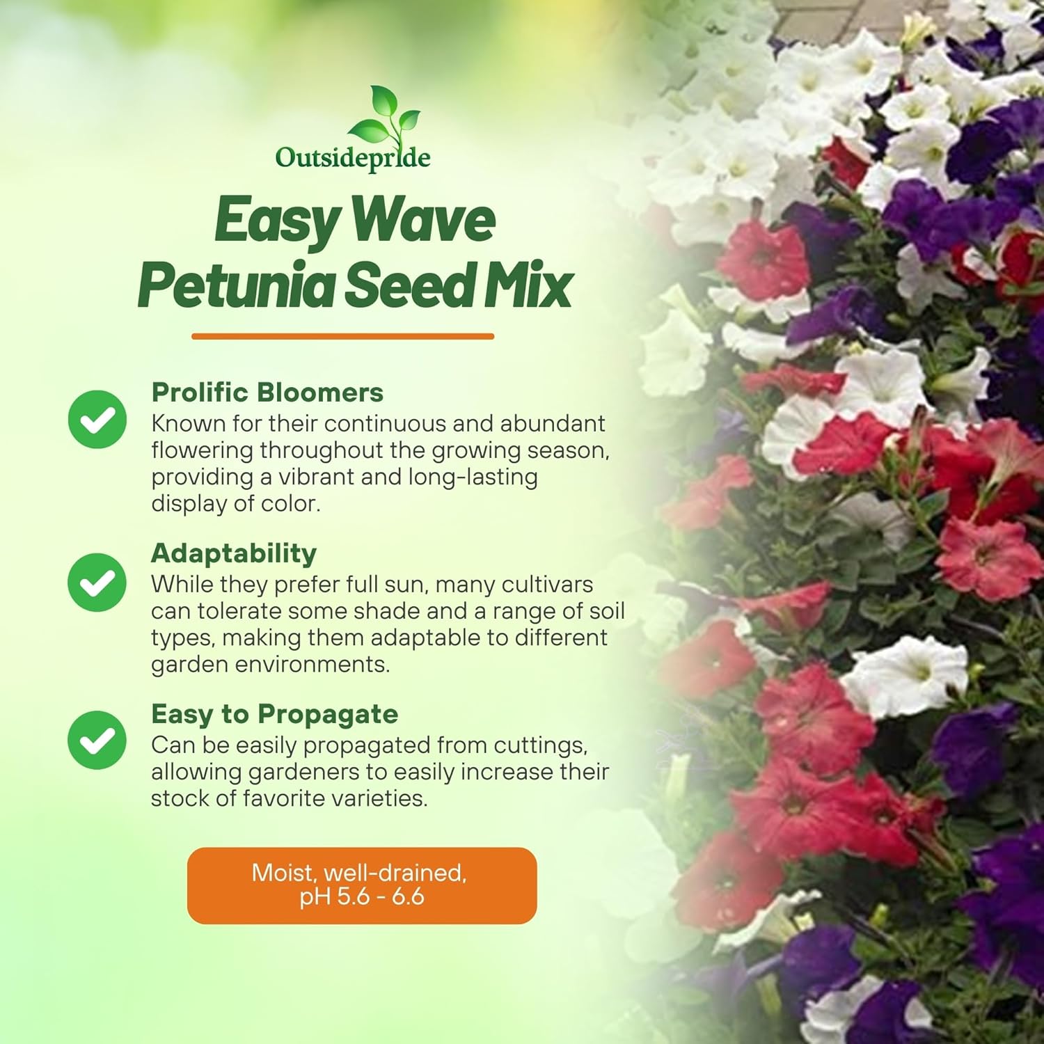 Wave Petunia The Flag Seed Mix