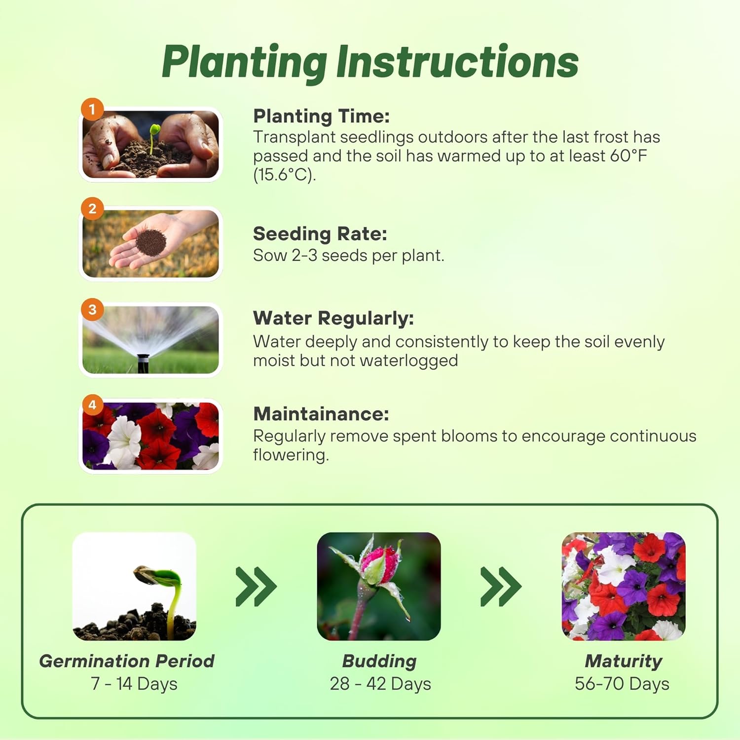 Easy Wave Petunia The Flag Planting Directions