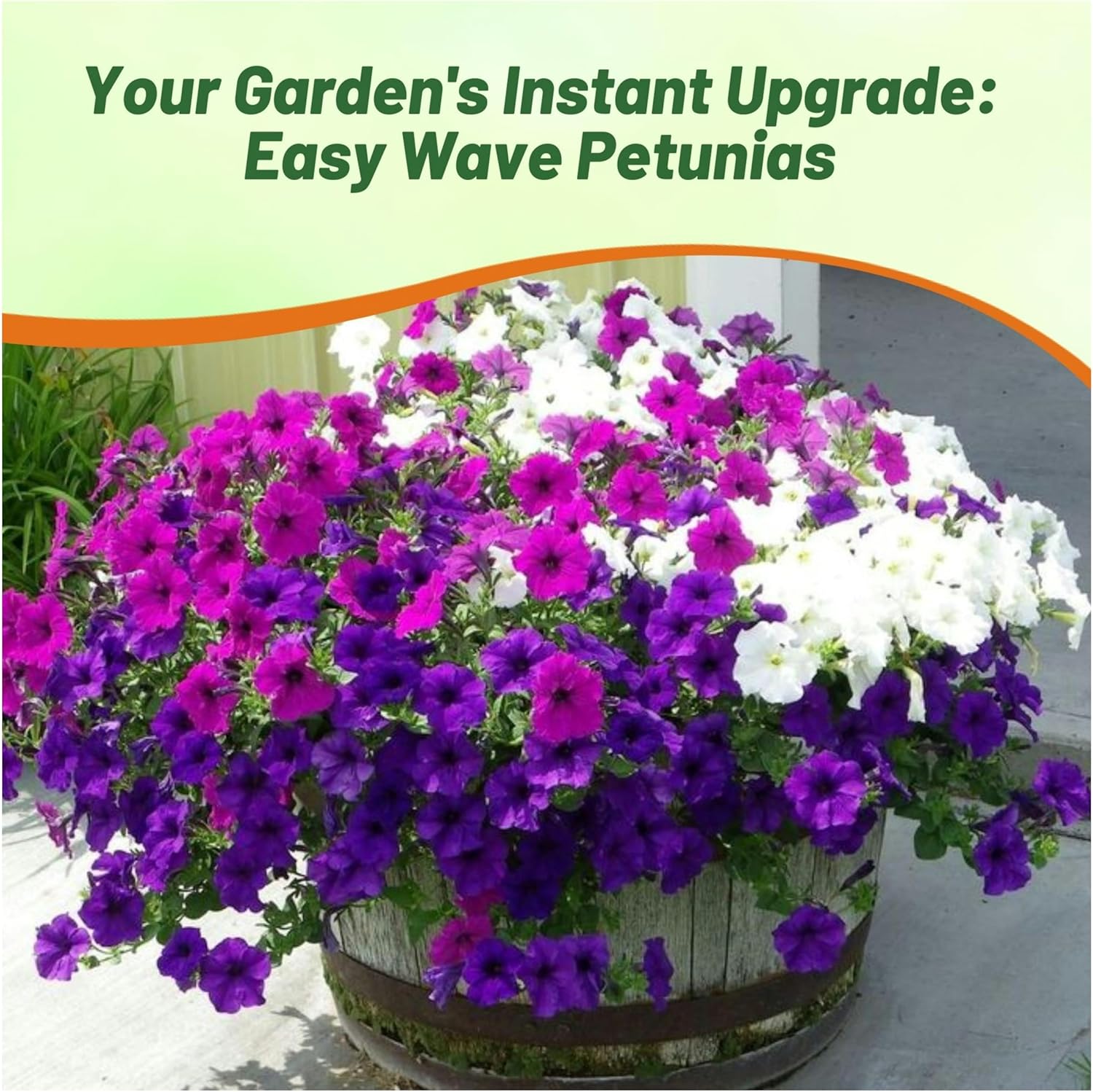 Easy Wave Great Lakes Petunia Flower Garden