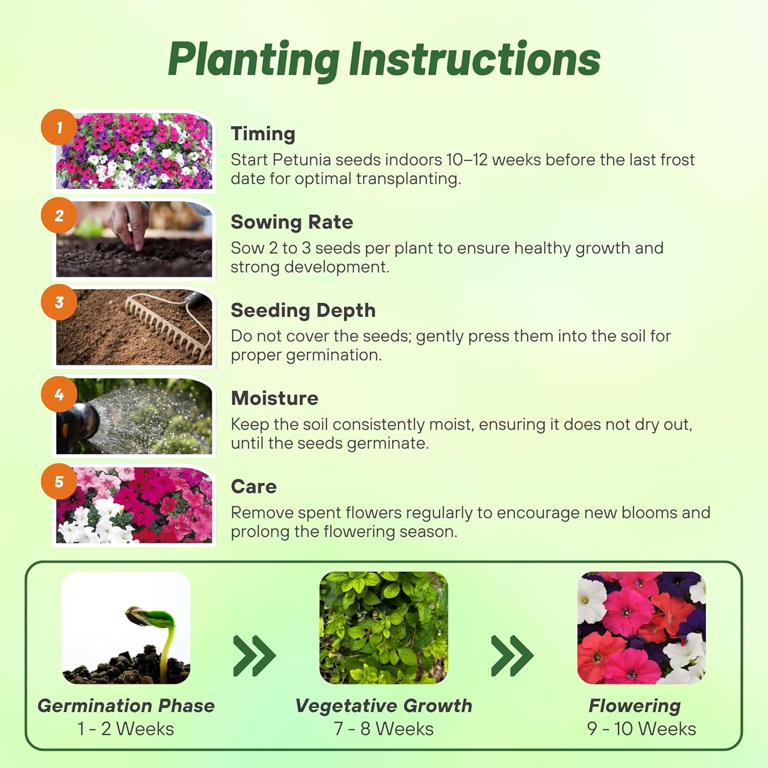 Petunia Hybrida Mix Planting Directions