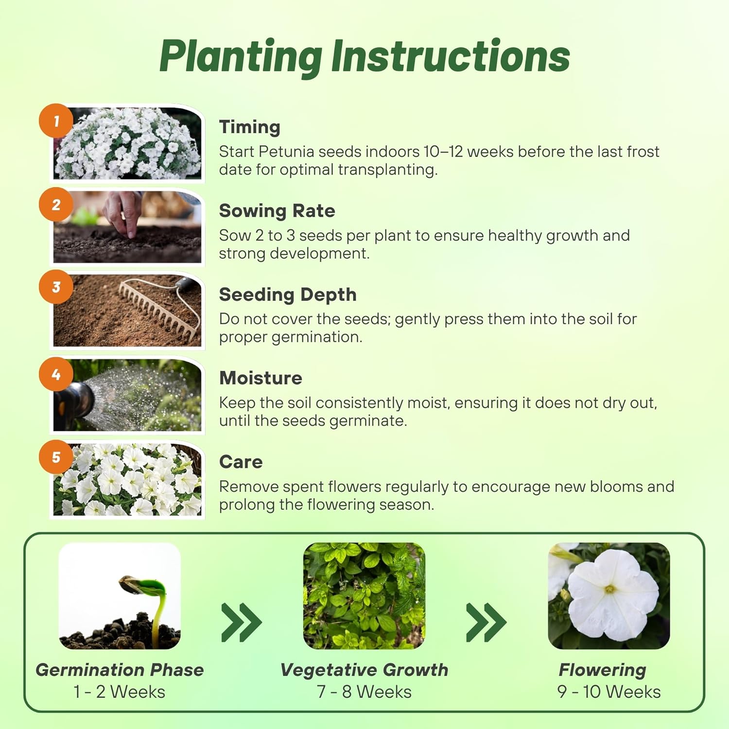 Petunia Multiflora White Planting Directions