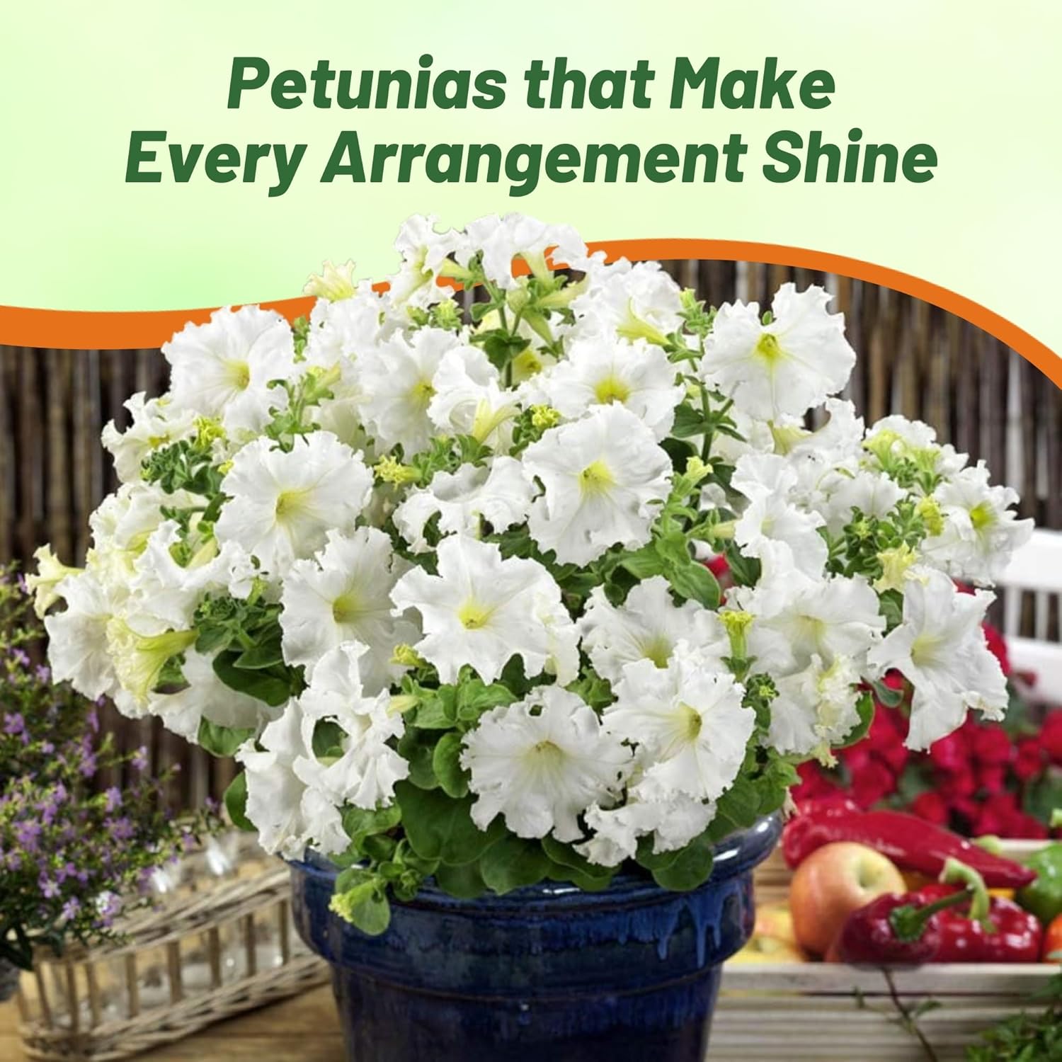 Petunia Multiflora White Flower Seed