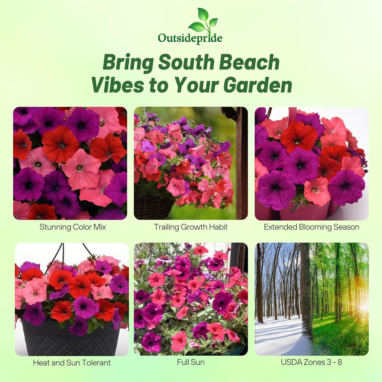 Easy Wave South Beach Petunia Flowers