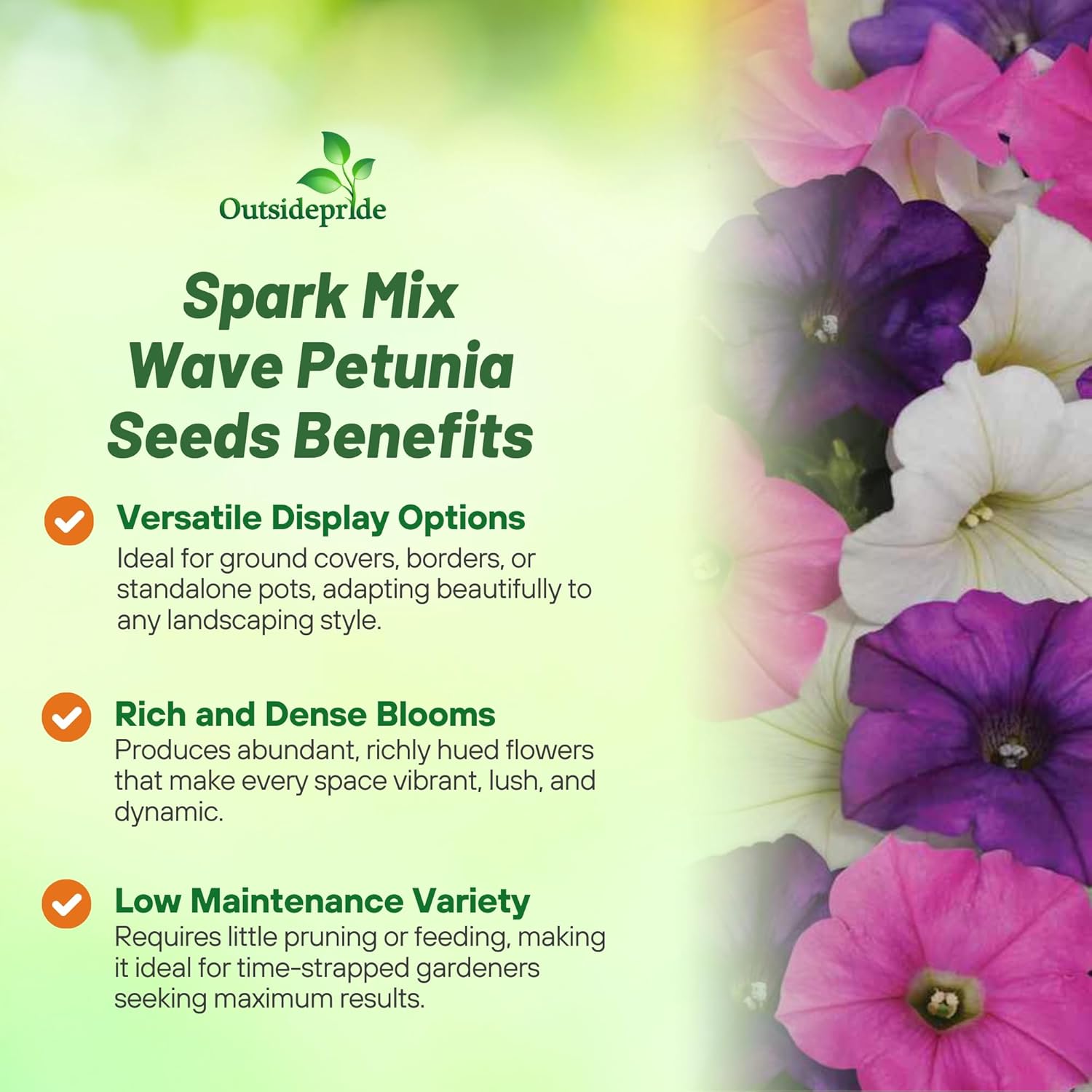 Shock Wave Spark Mix Petunia Flowers