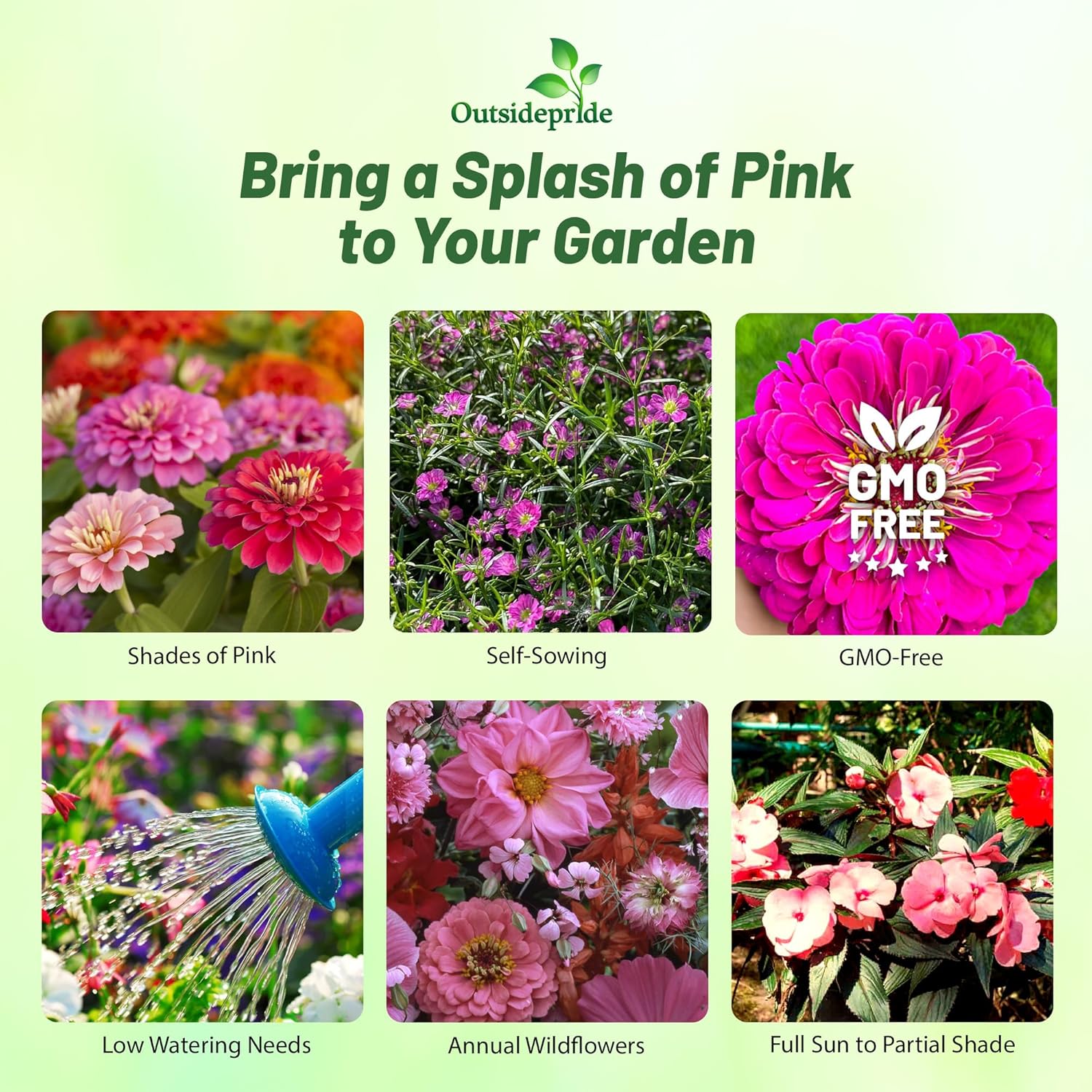 Pink Garden Flower Seeds