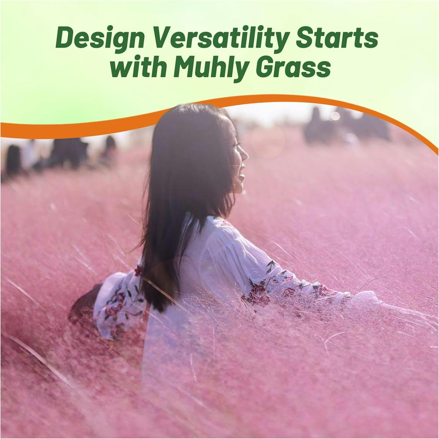 Pink Muhly Grass Seed