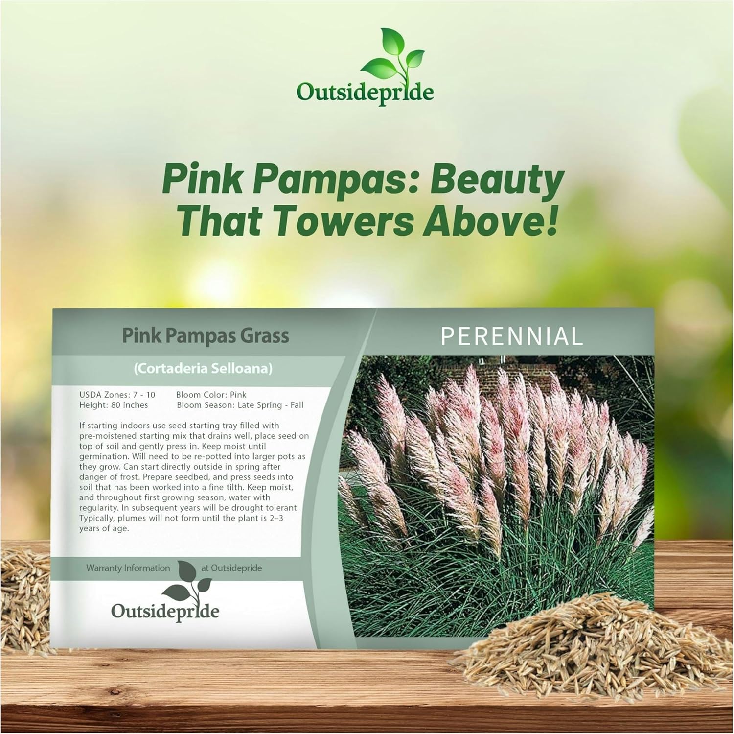 Pink Pampas Ornamental Grass