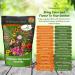 Pollinator Wild Flowers Seed Bag