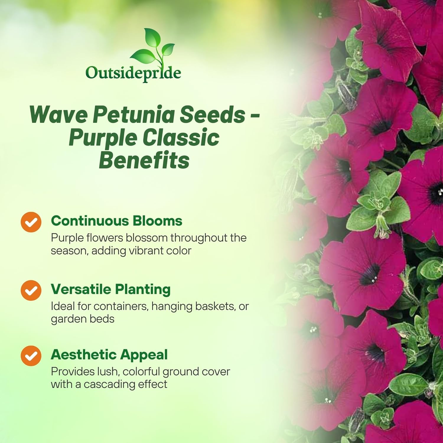 Wave Petunia Purple Classic Hanging Basket