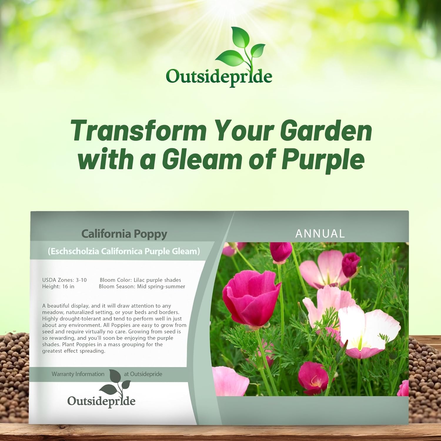 California Poppy Purple Gleam Seed Packet