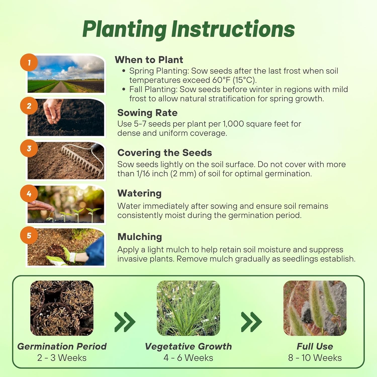 Rabbits Foot Planting Directions