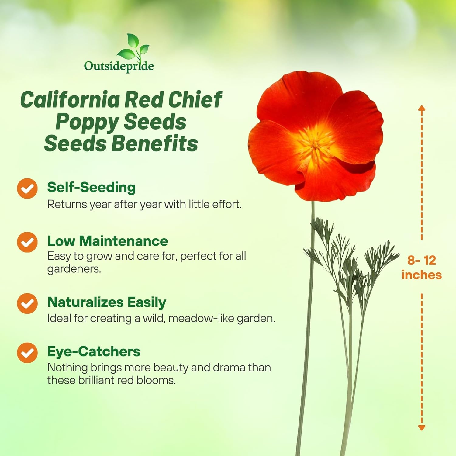 California Poppy Red Chief Flower Seeds